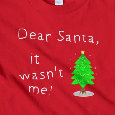 Dear Santa. It Wasn't Me. Kids T-shirt